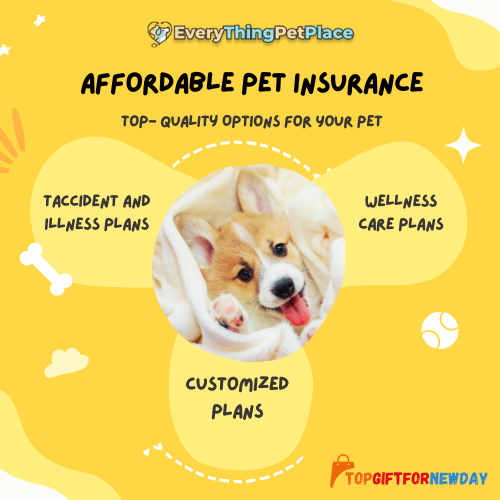 Affordable Pet Insurance From Everything Pet Place