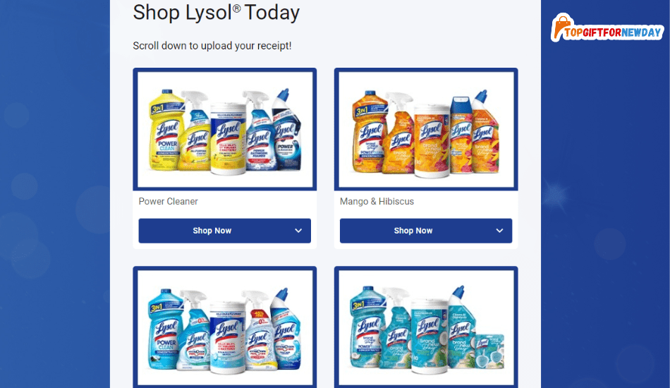 Shop Lysol Fall Cleaning 2024 Essentials