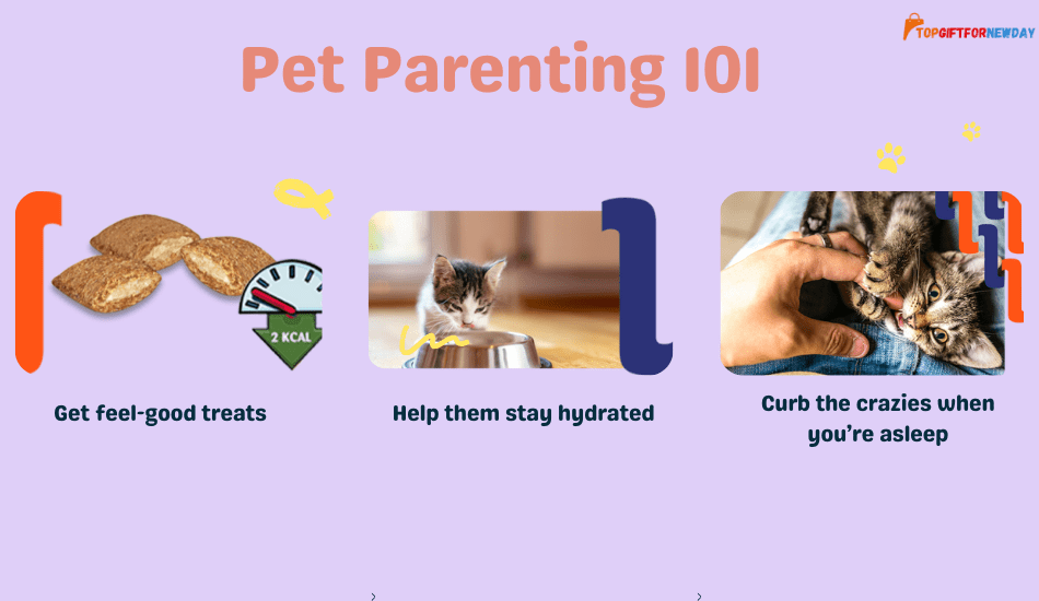 Pet Parenting 101: Essentials for Every Day