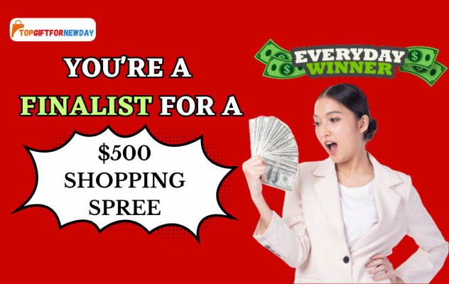 Win A $500 Shopping Spree on Everyday Winner!